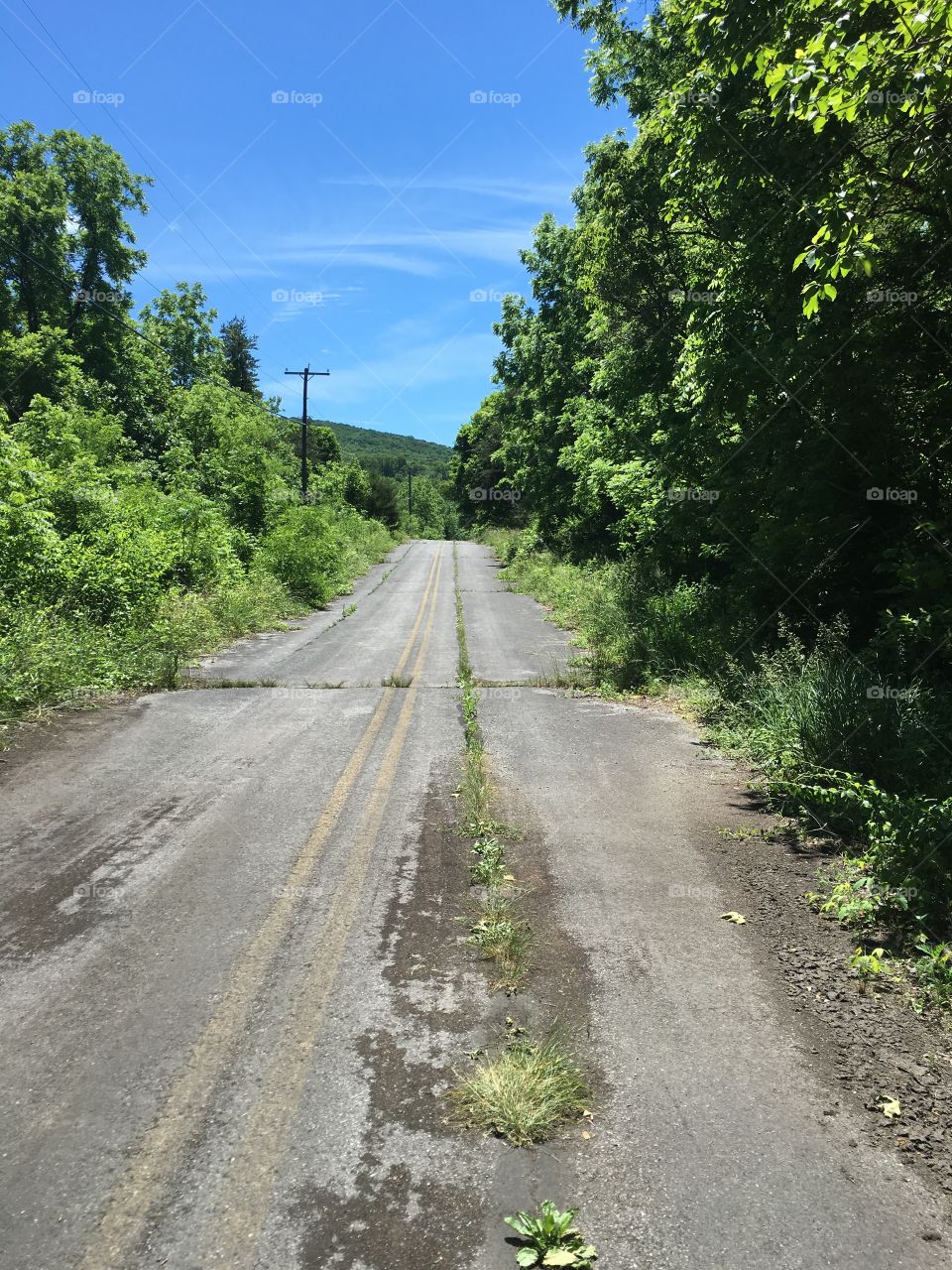 Hiking abandoned road