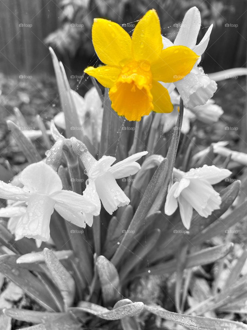 Spring is in the air, confirmation that Spring is here