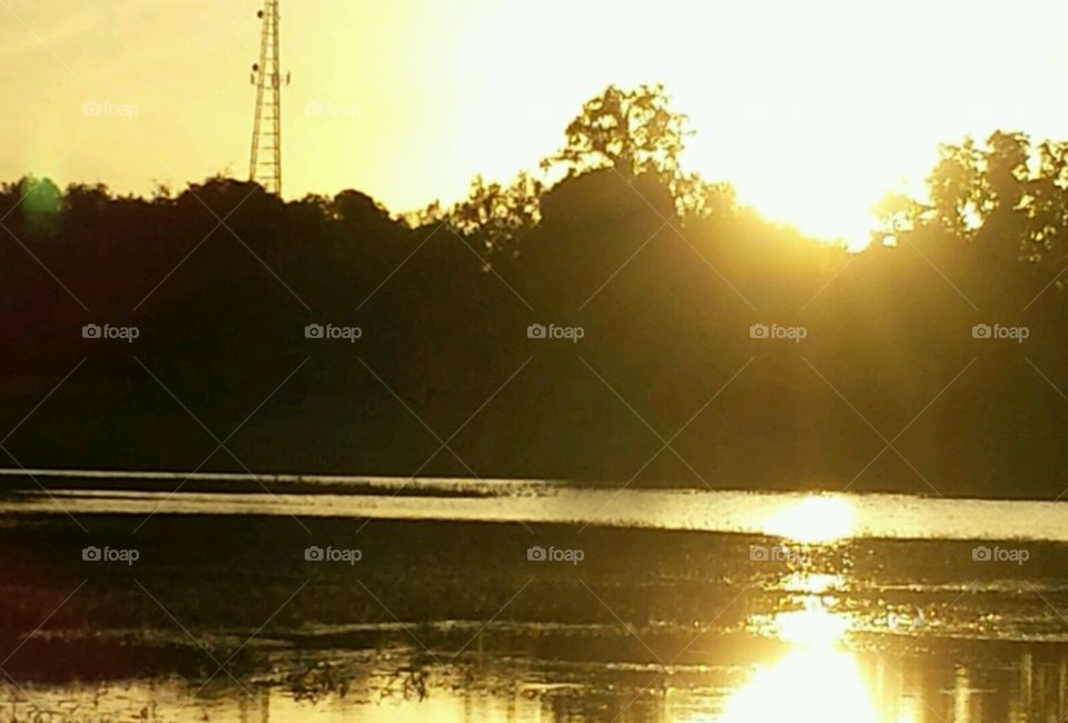 Lake life. the glow  of the lake