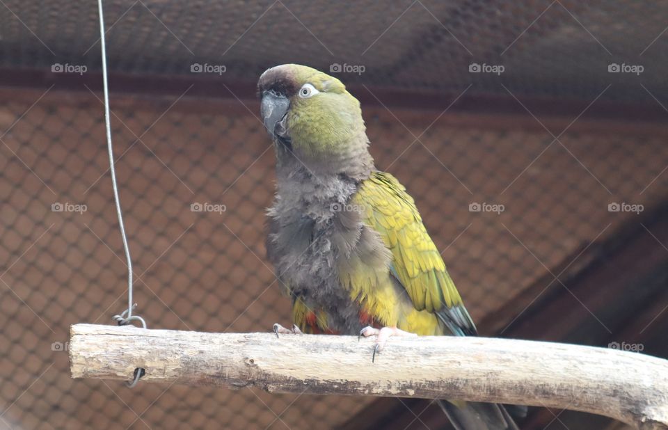 The picture was taken at a zoo in Belgrade