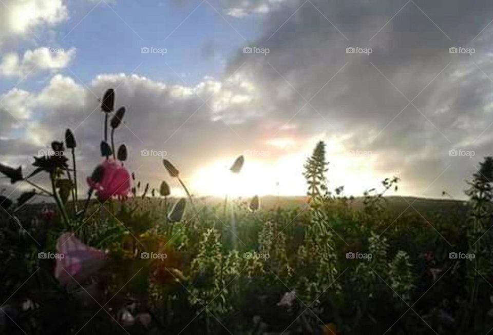 bonita puesta de sol