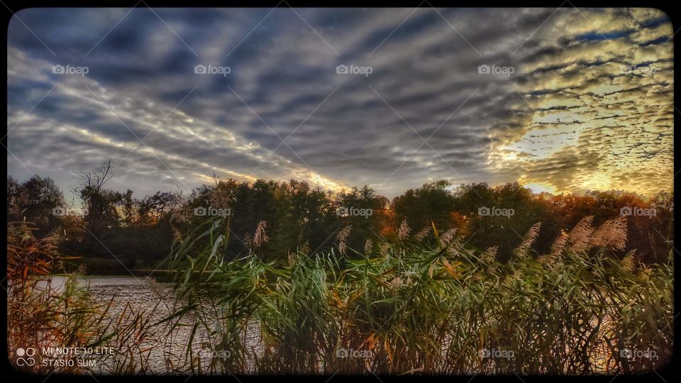 Polish golden autumn
