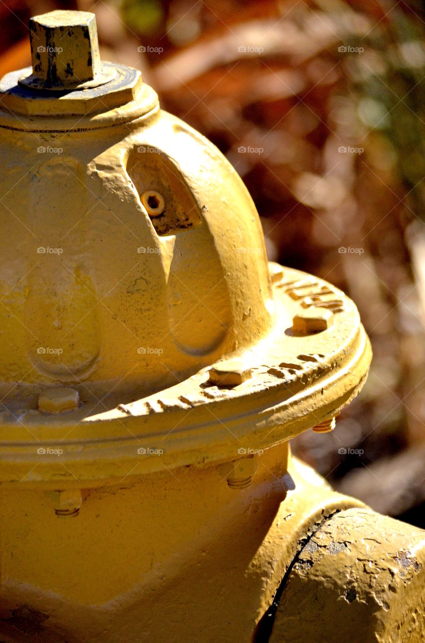 Fire hydrant close up