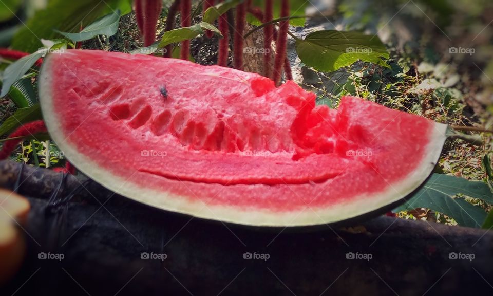 Sweet red watermelon