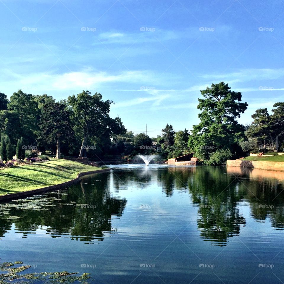 Scenic view of park pond