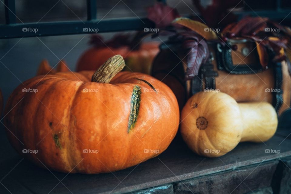 Pumpkin season