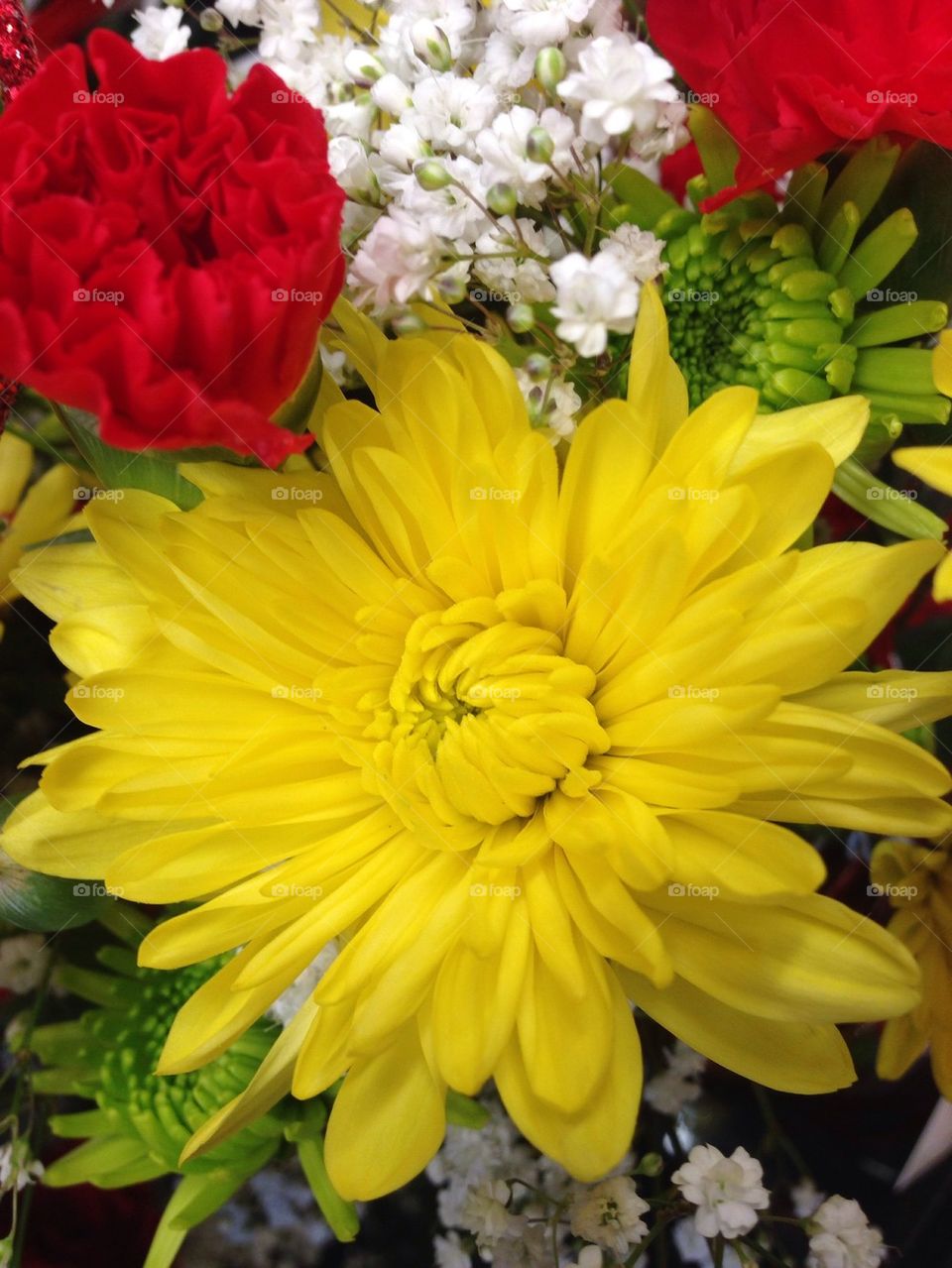 Red and yellow flowers