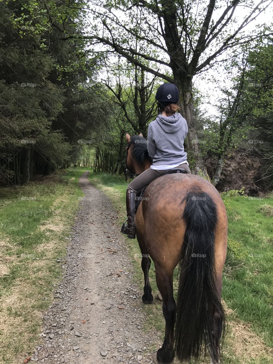 Horse and rider in forest