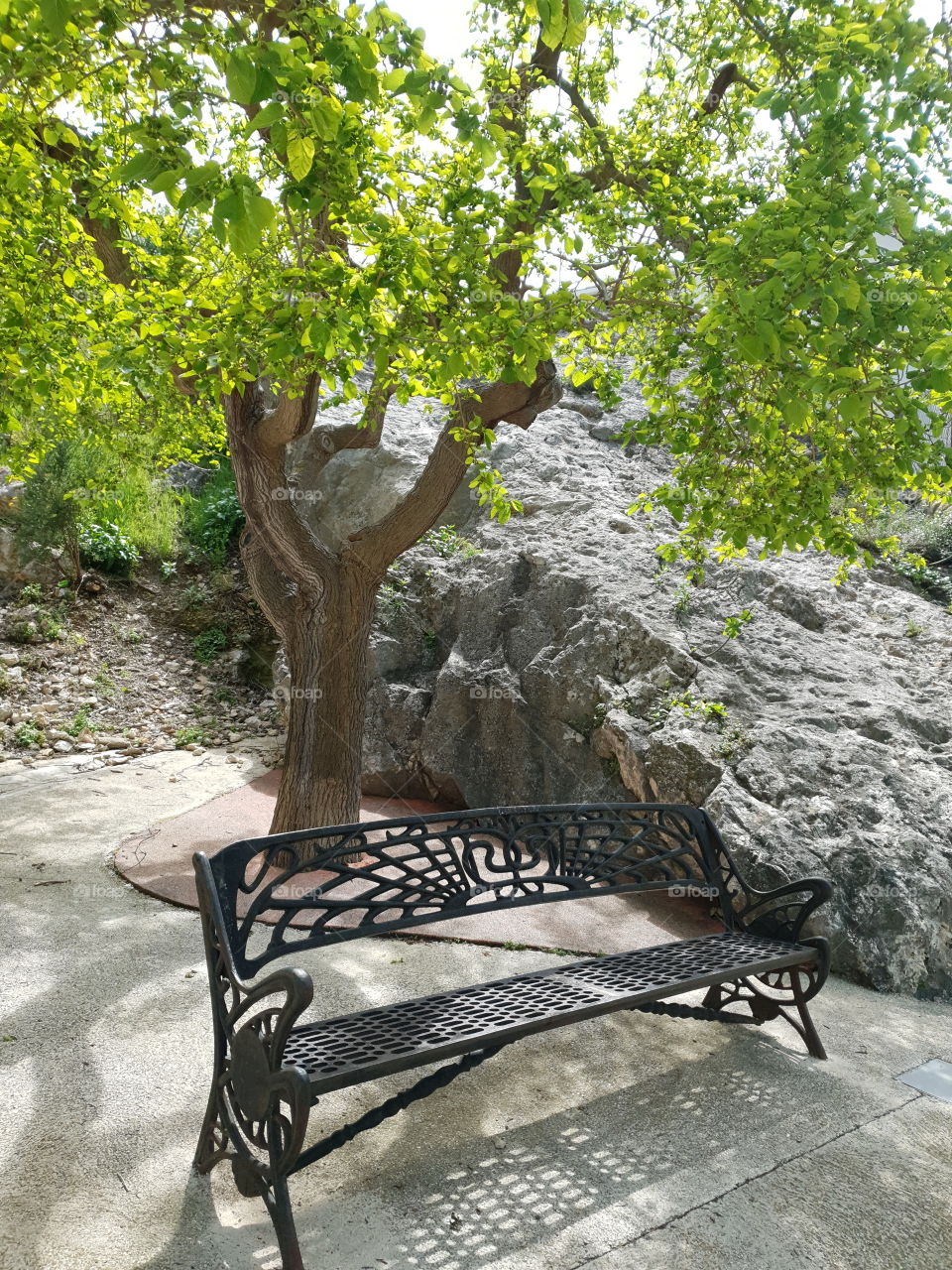 Bench#metal#strong#material#tree#nature#rock#colors