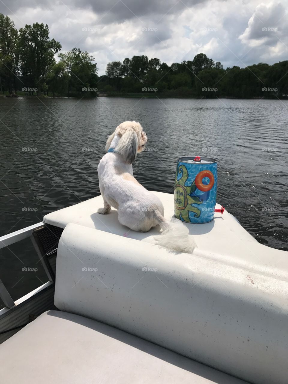 Boat dog and some Oberon