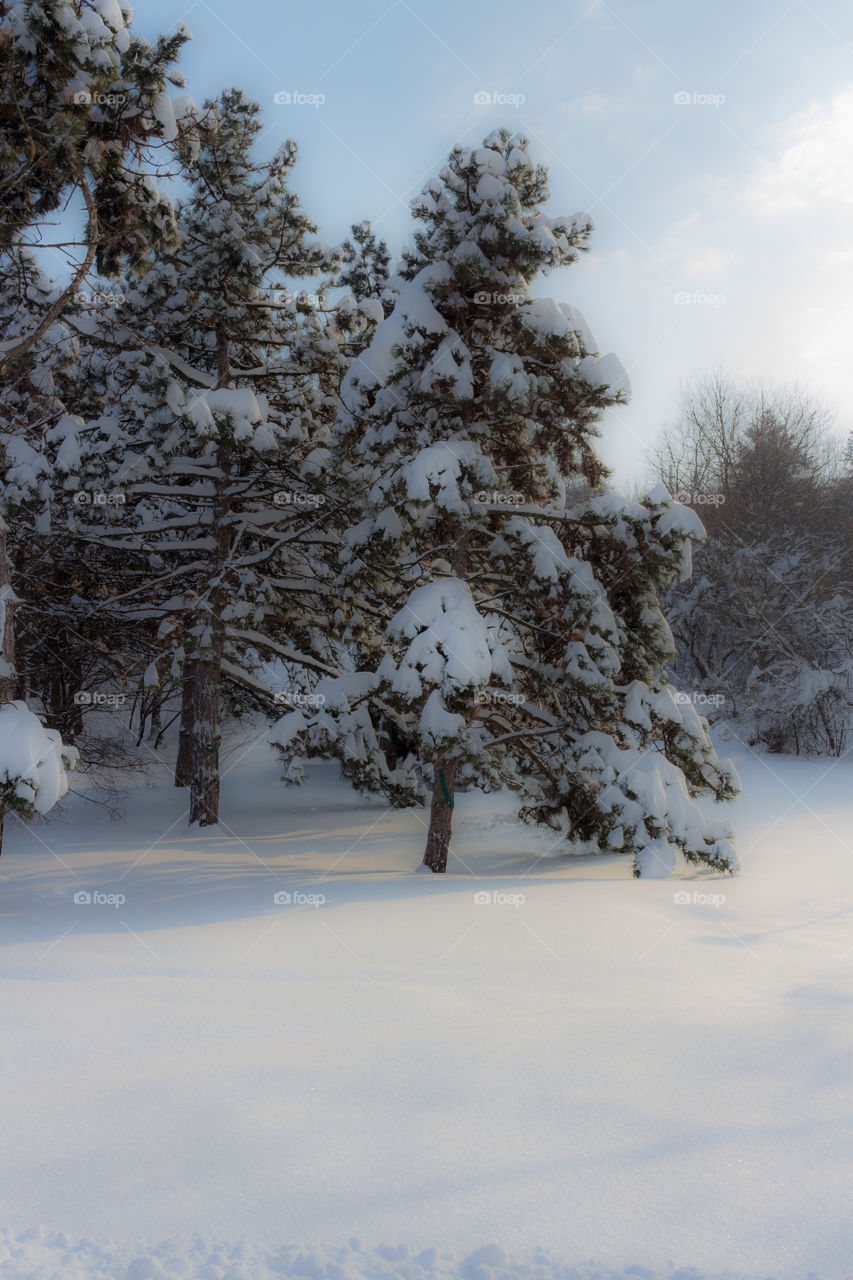 After a snow storm