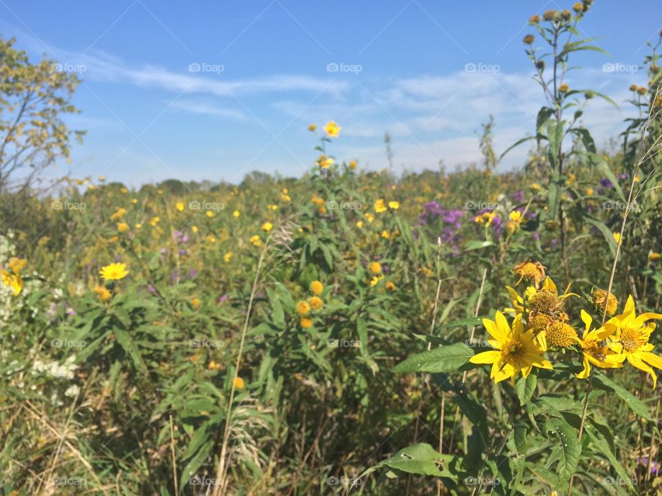 Hiking in Indiana 