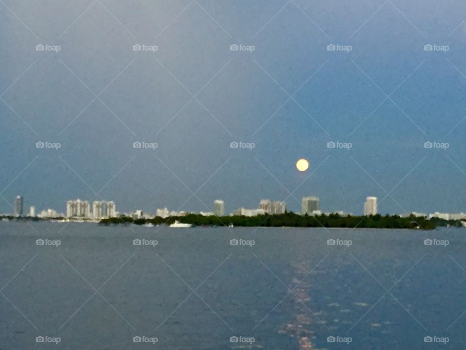 Miami bay