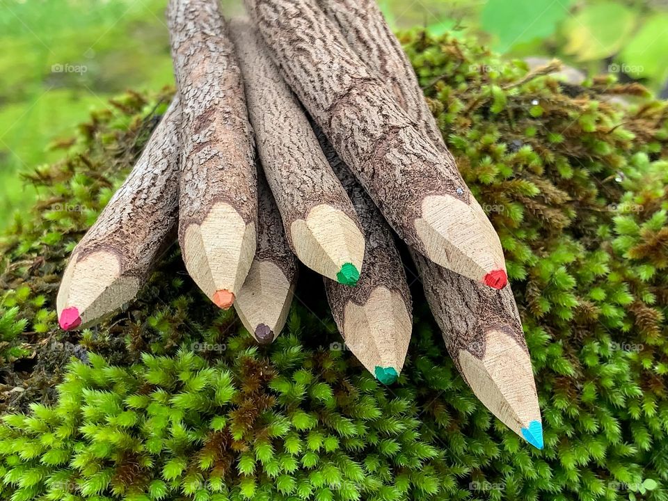 A collection of twig pencils sitting on a missy log