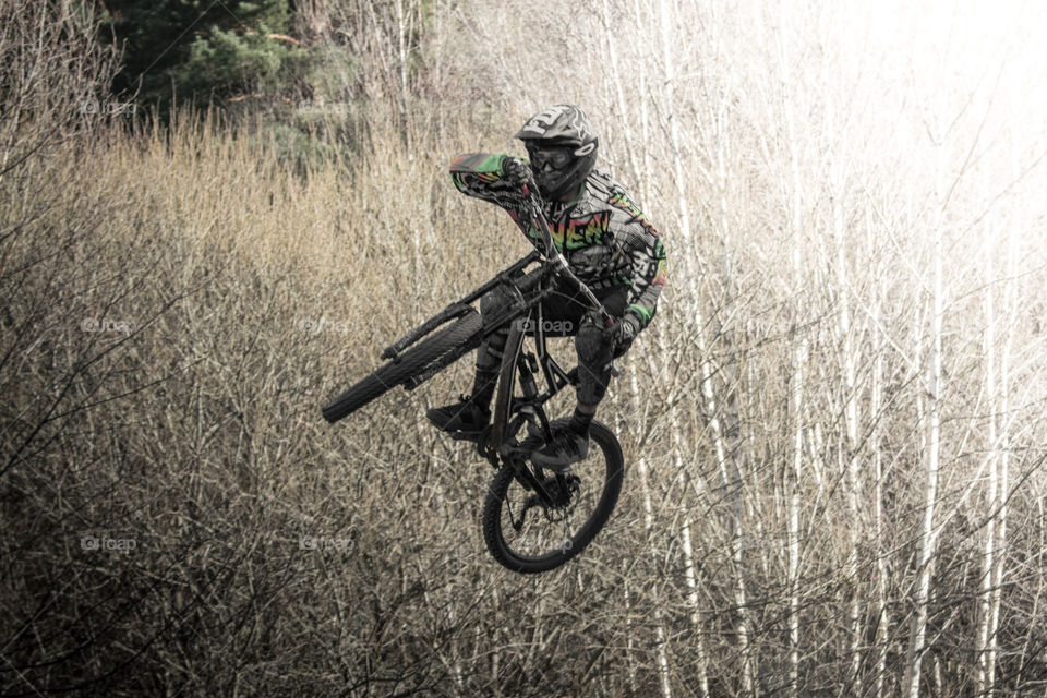 Bike, Wheel, Motion, Sport, Tree