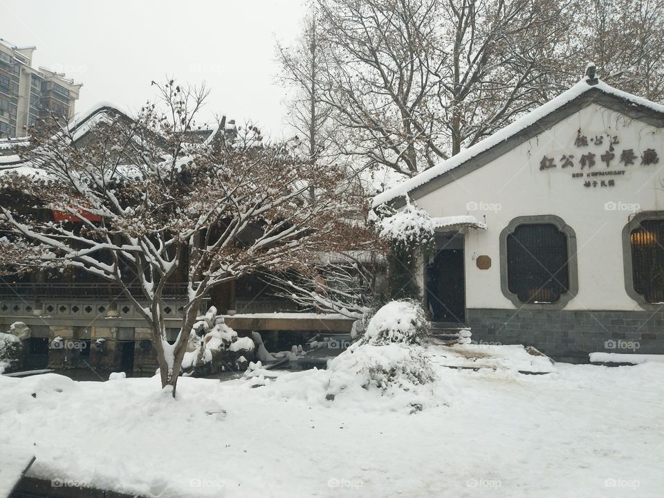 Snow, Winter, Weather, Cold, House