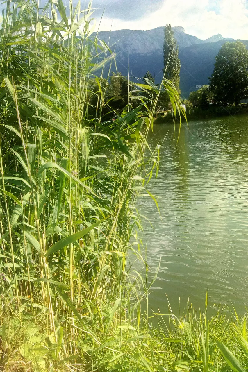 lac