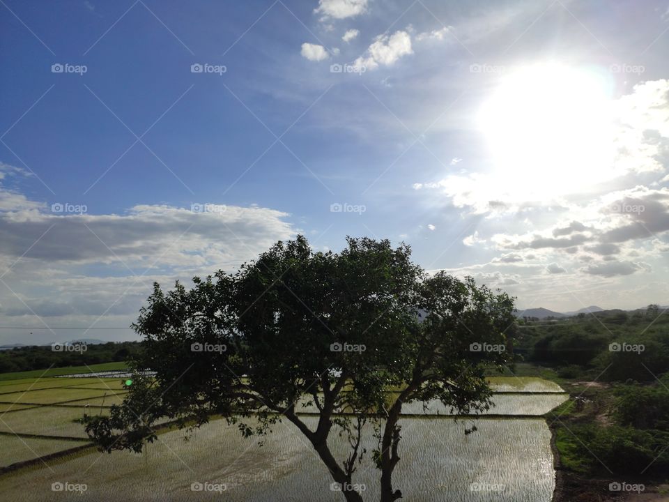 magnificent Sun shining brightly like never before