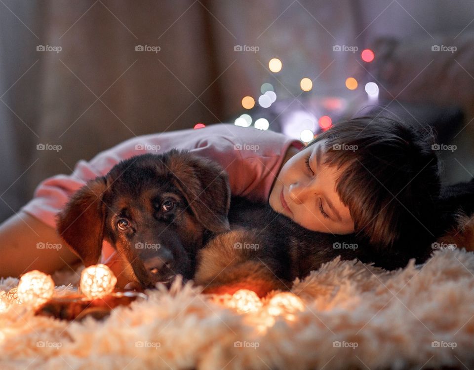 Little girl with Shepherd puppy at Christmas Eve 