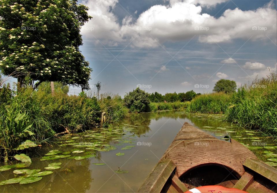 Marais de Saint Omer