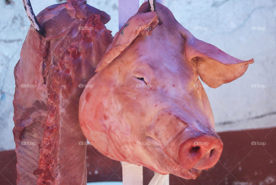 portrait pig meat produce by resnikoffdavid