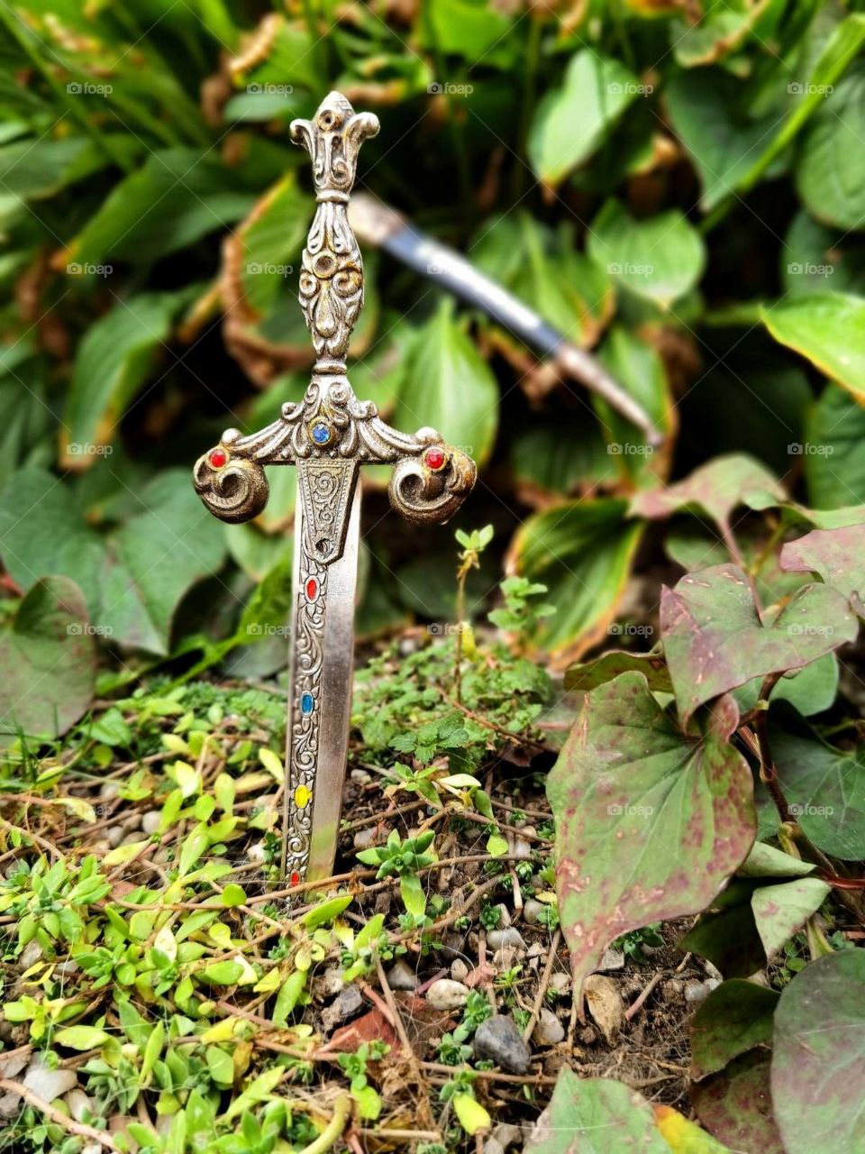 Knife! Autumn! Nature!