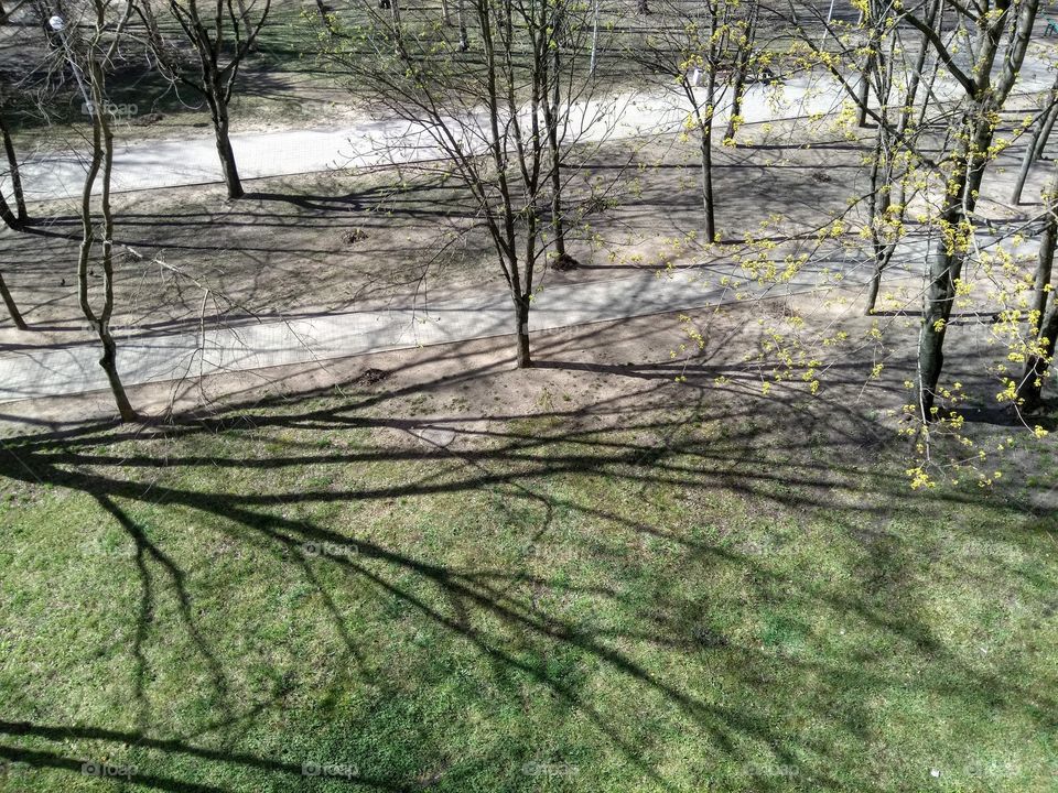 light and shadows nature from above spring time