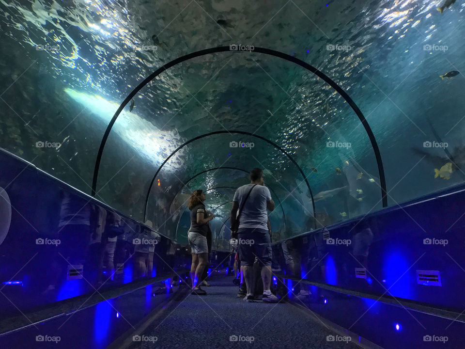 Океанариум в Монако 💙