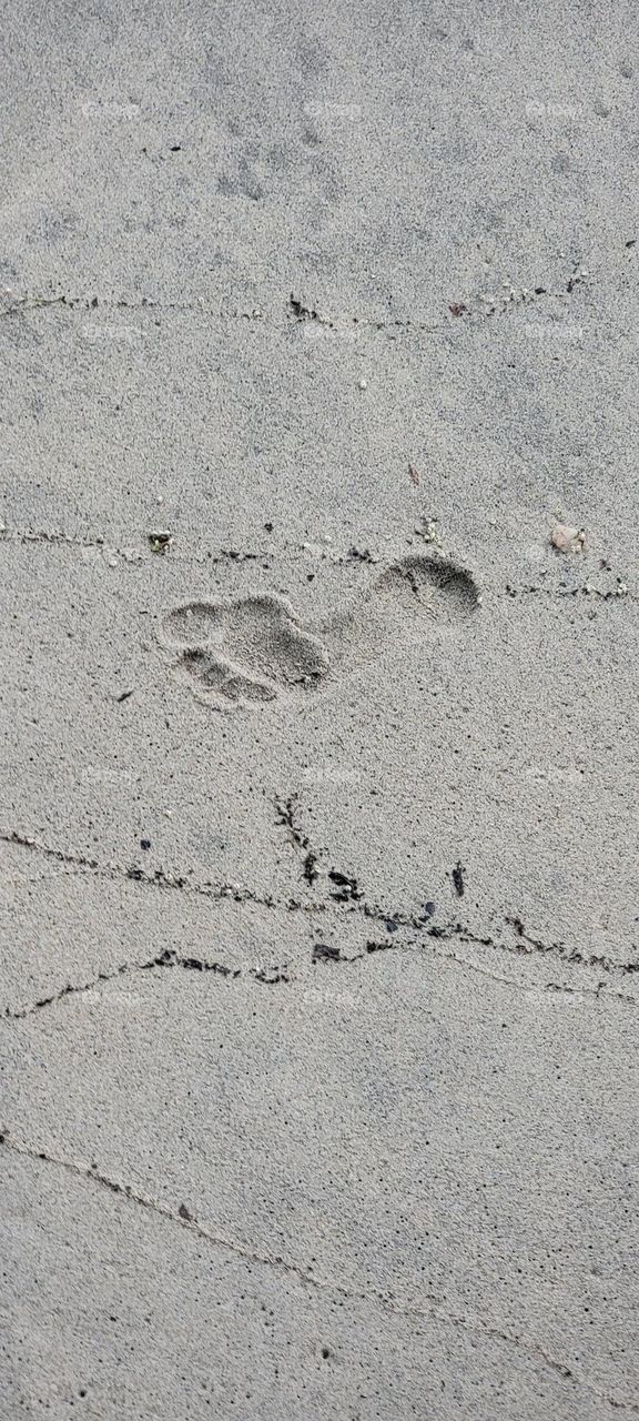 Fußabdrücke