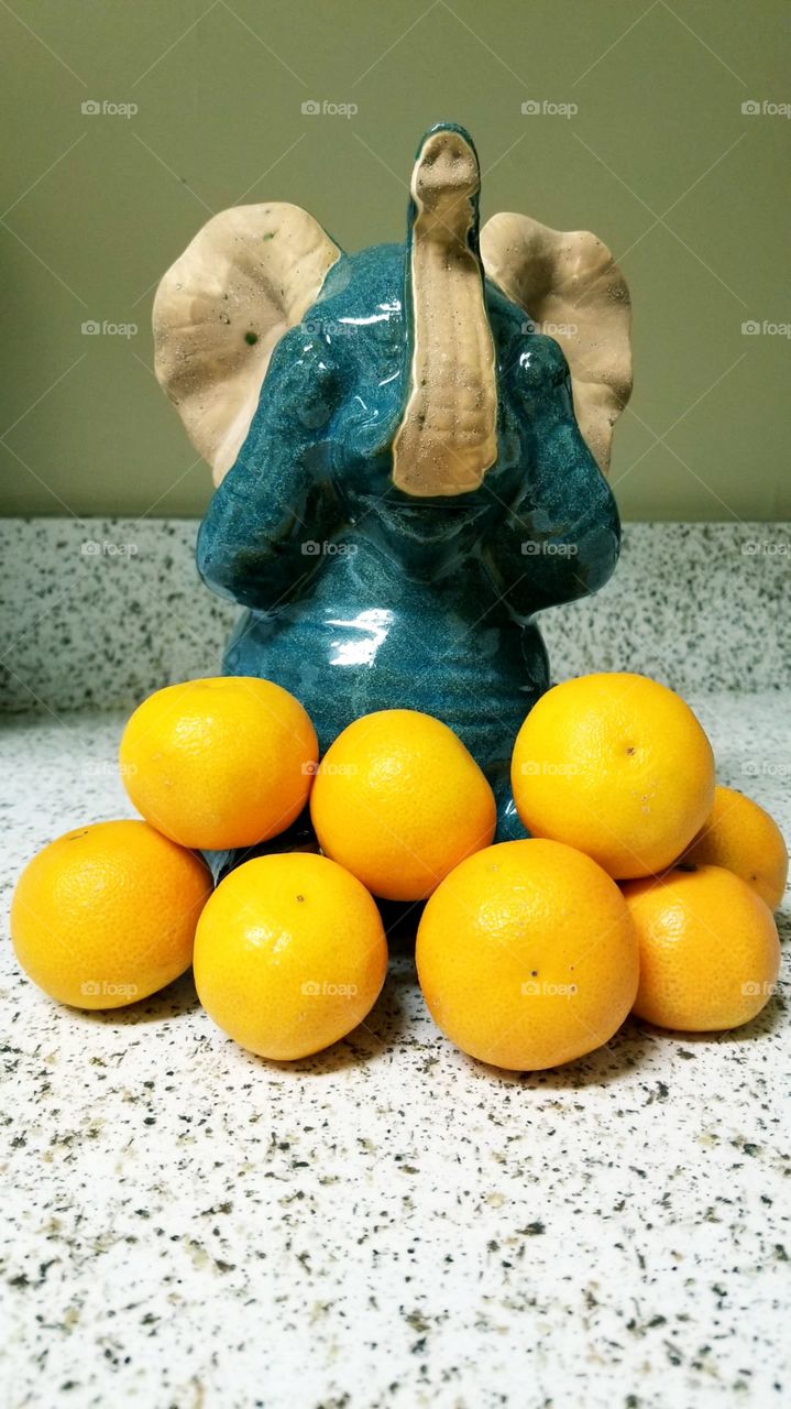Elephants and Oranges