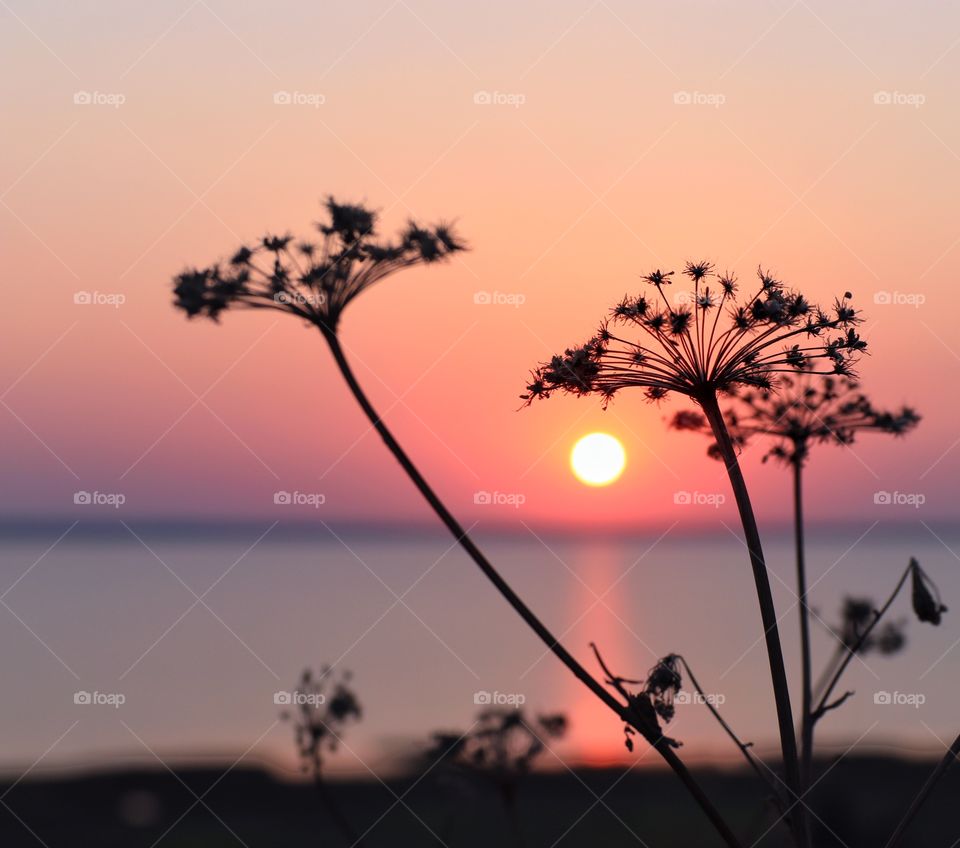 Sunset on the lake