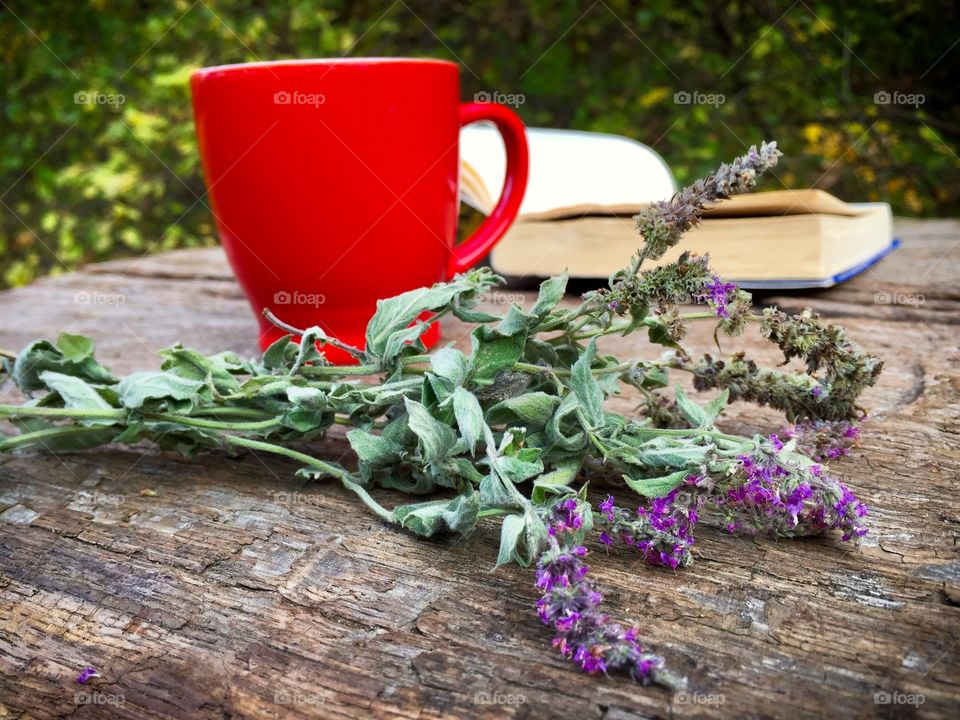 Red cup,book and mint flowers on rustic wooden table