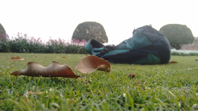 Point of View