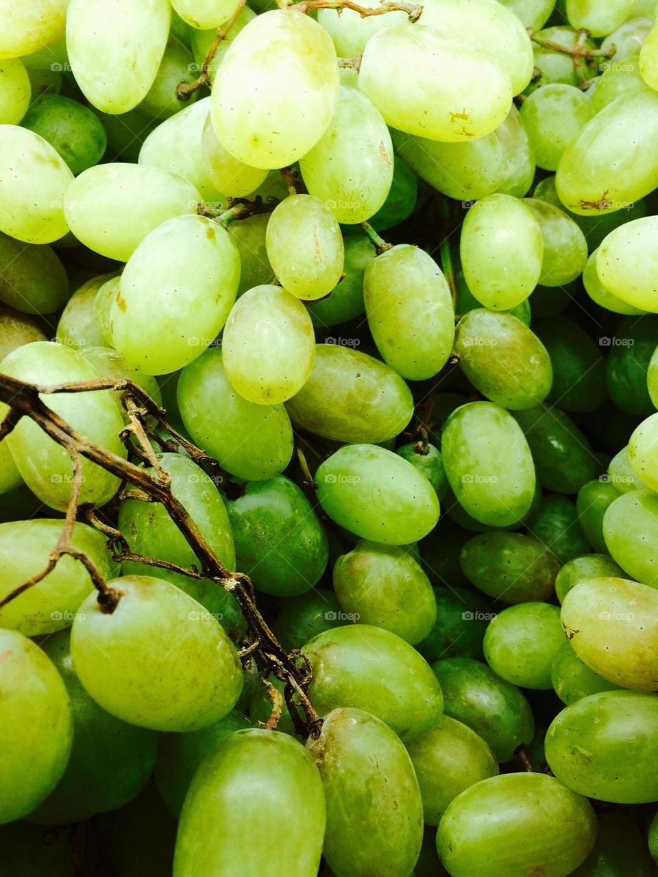 Grapes