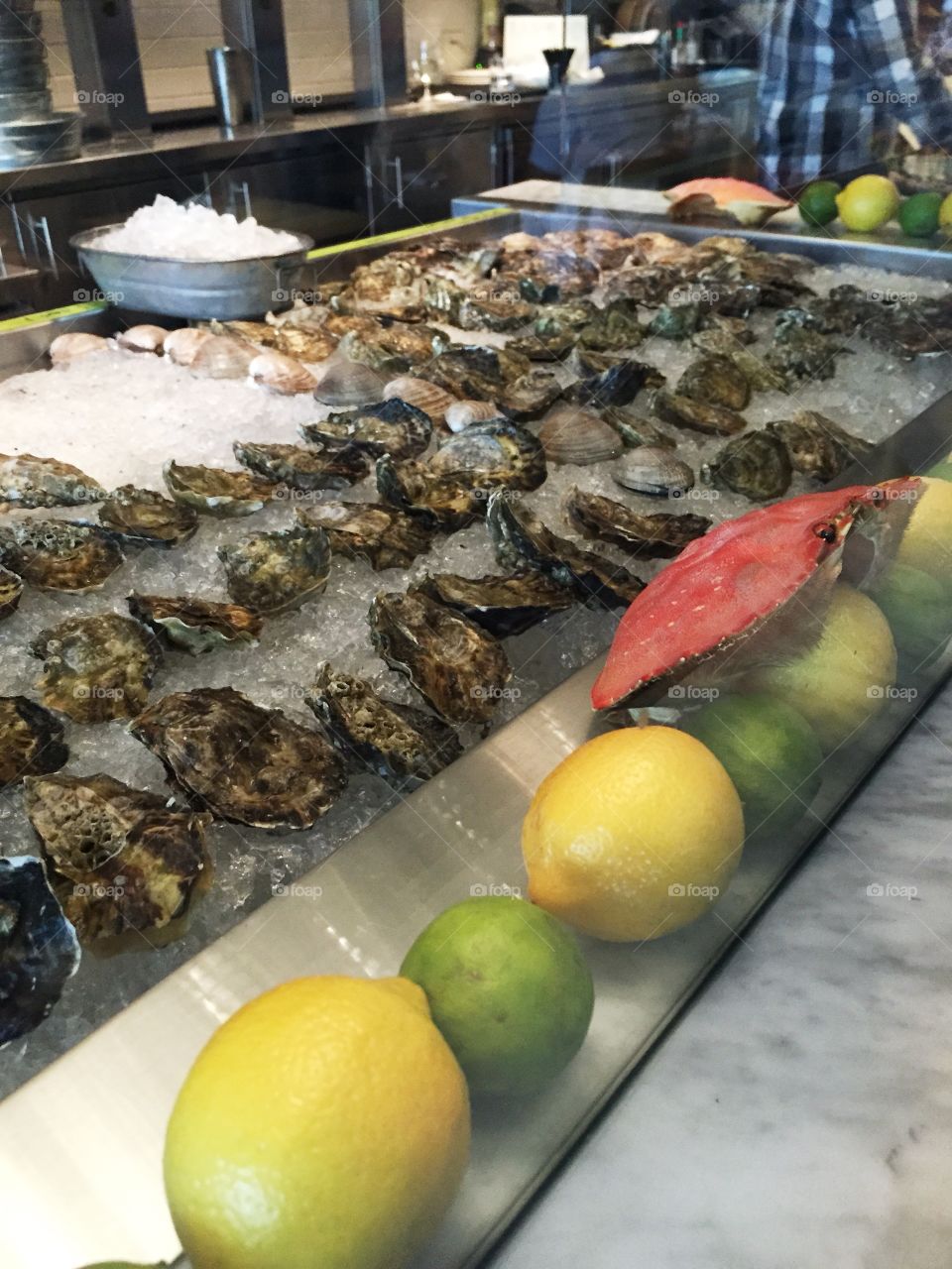 Raw oyster bar