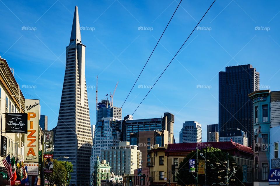 San Francisco Cityscape