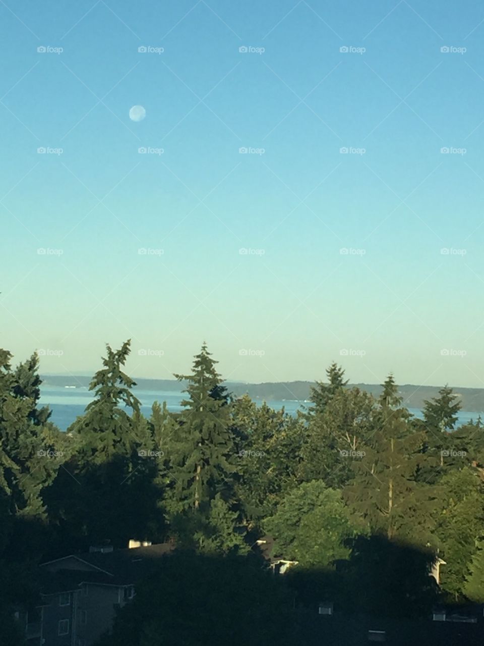 Seattle, Washington. 