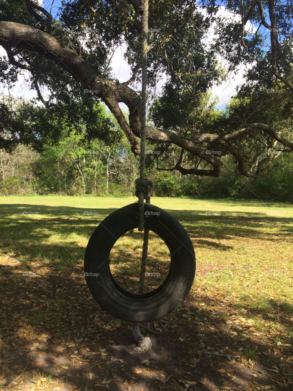 Old fashioned tire swing 