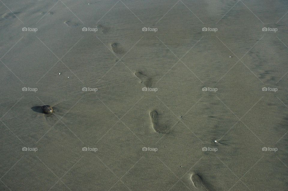 Beach walk footprints