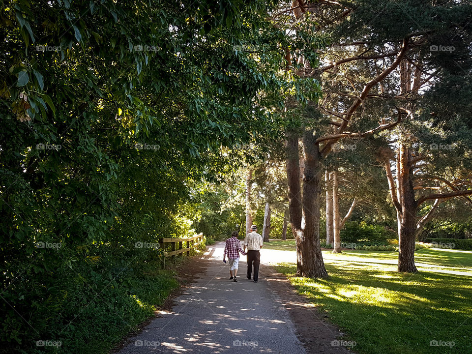 Older couple on a morning walk in the park