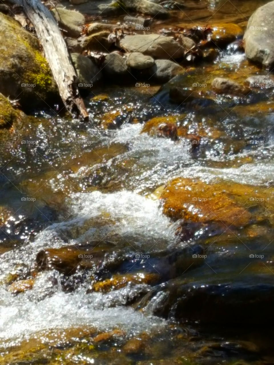 mountain stream