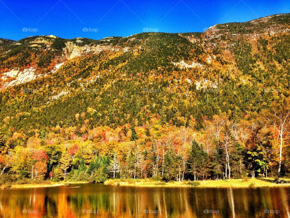 Autumn in New Hampshire 