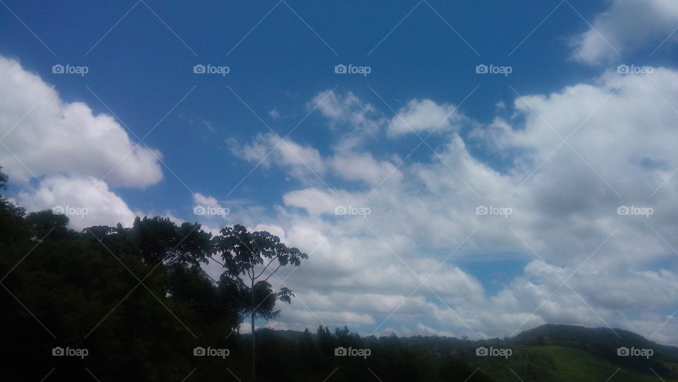 No Person, Landscape, Sky, Tree, Nature