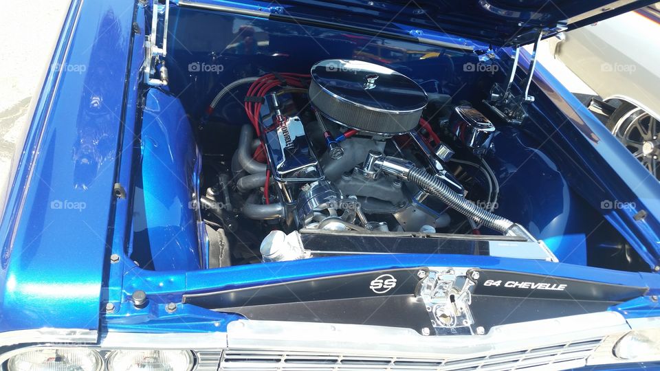 Blue show motor