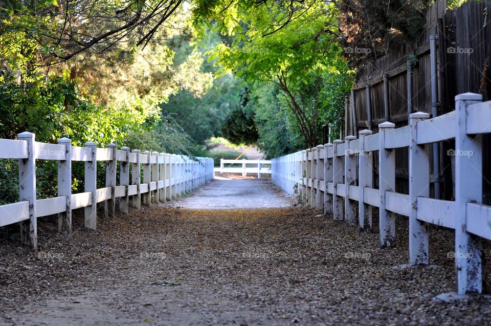 White fence alley