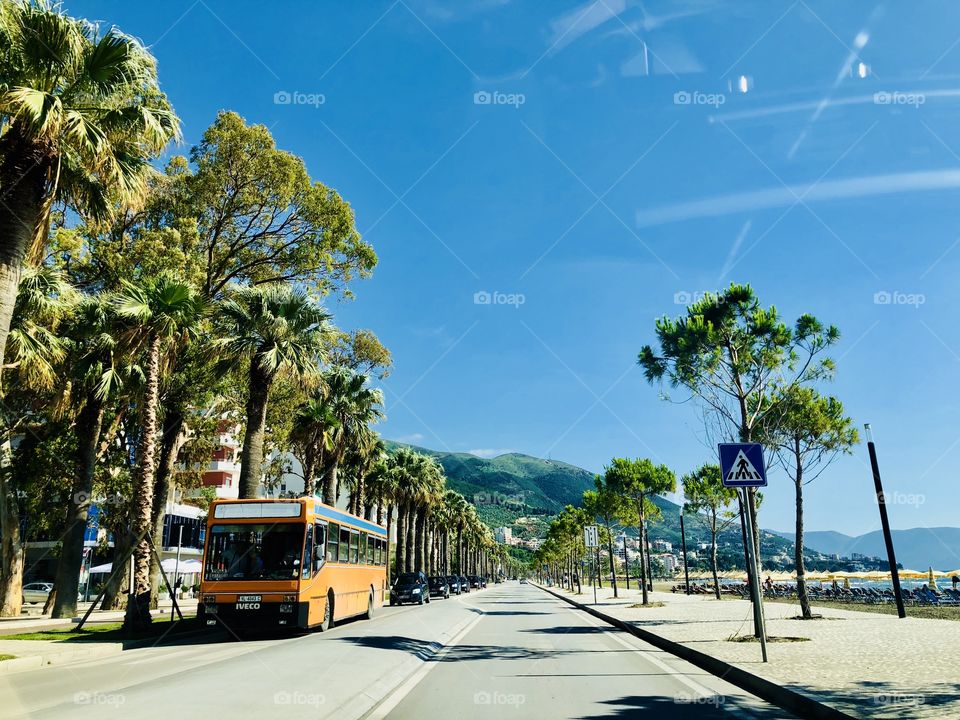 Beach drive empty paradise drive vintage road palma treea mountain sea shaddows light deep blues amazing vibe cuban latin american panamericano bus bay 