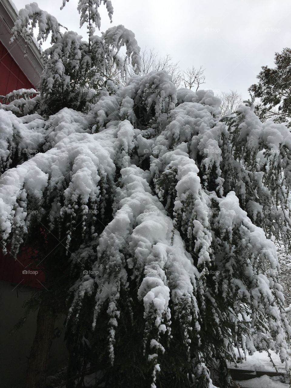 Snow in Connecticut - Feb. 2018
