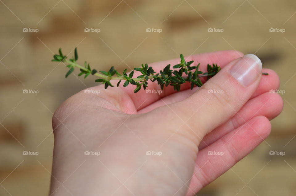 Holding food