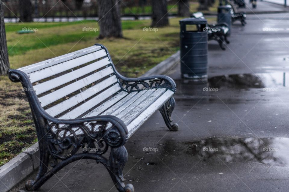 Bench in the park