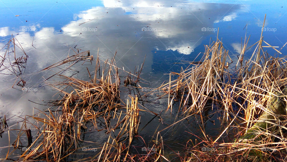 Water reflections